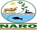NARO