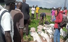 Development Initiative for Northern Uganda
