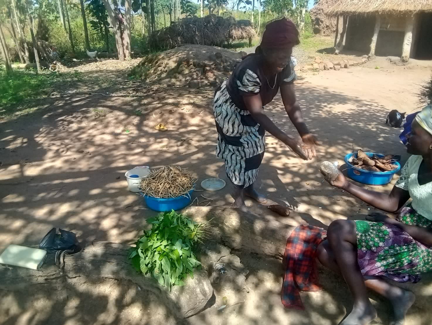 Improved Livelihoods, Climate Resilience and Self-Reliance for Refugee and Host Farming Communities in Northern Uganda