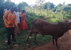 Bakusekamajja Farmers Group