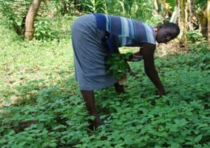Janet Amongi