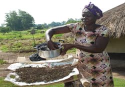 Lamwaka Emerensiana
